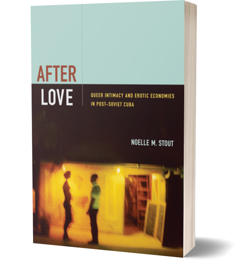 After Love by Noelle Stout